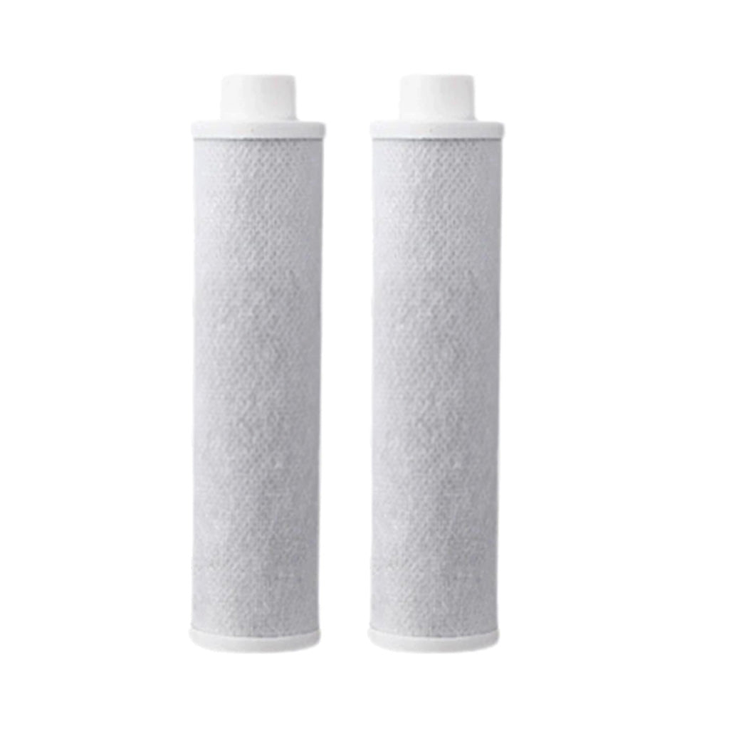 2x Filter für Duschkopf